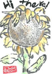 Sunflower.HiThere.07-20-13